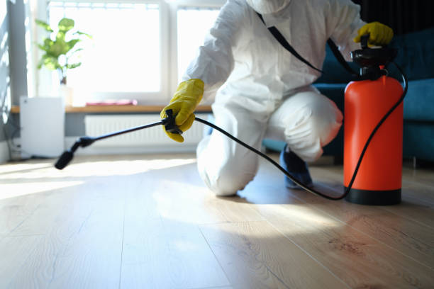 Best Local Pest Control Services  in Fridley, MN