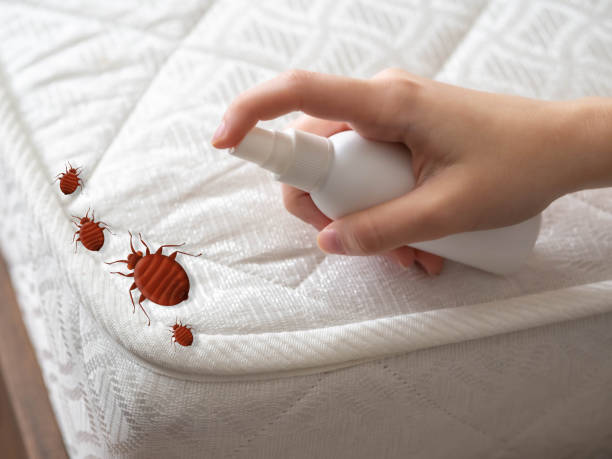 Best Pest Control Near Me in Fridley, MN