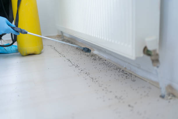 Best Best Pest Control Near Me  in Fridley, MN