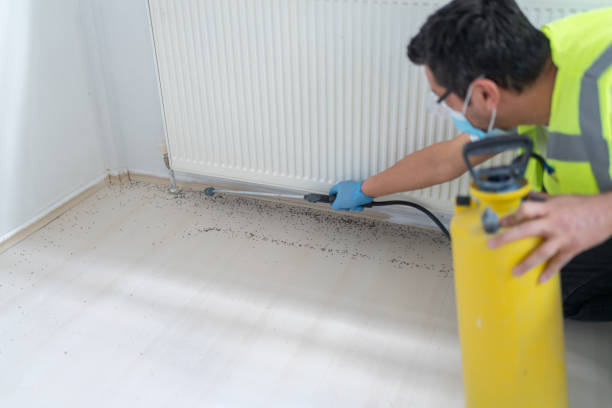 Best Ant Control Services  in Fridley, MN