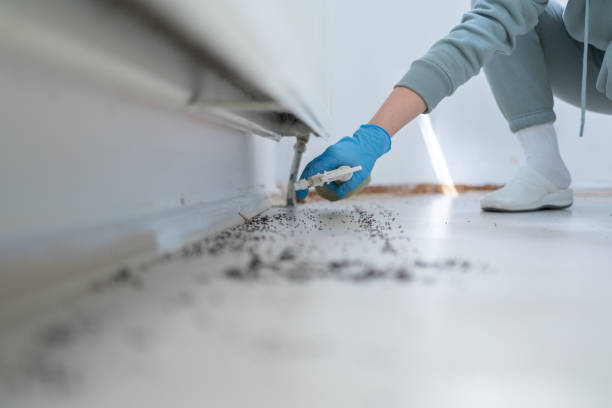 Best Pest Control Near Me  in Fridley, MN