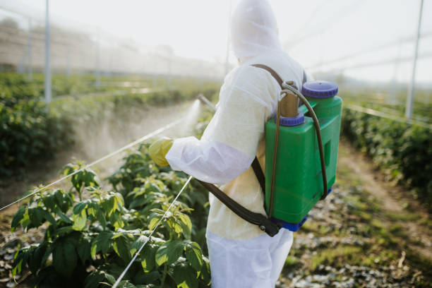 Best Cockroach Control Services  in Fridley, MN